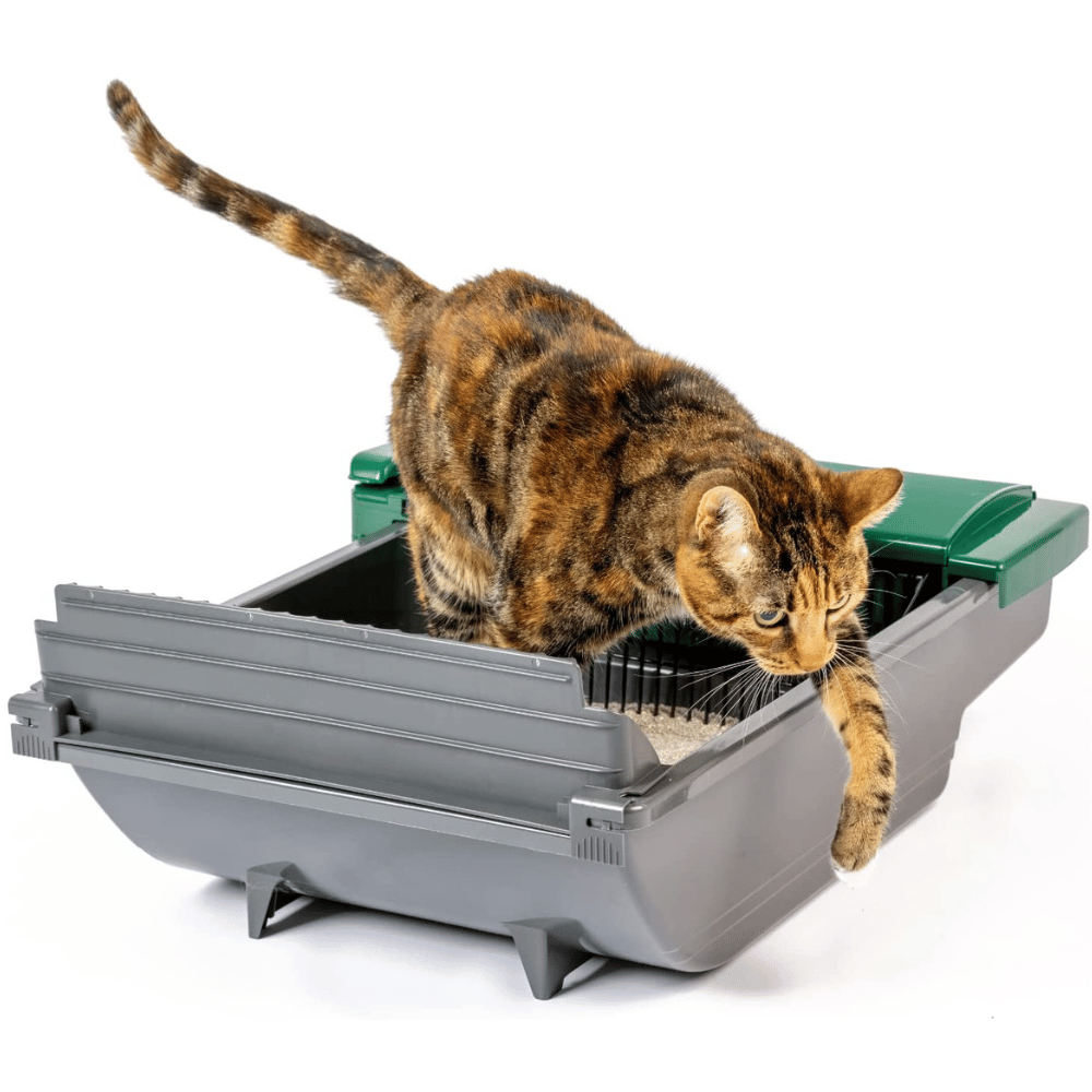 Automic Cat Litter Box