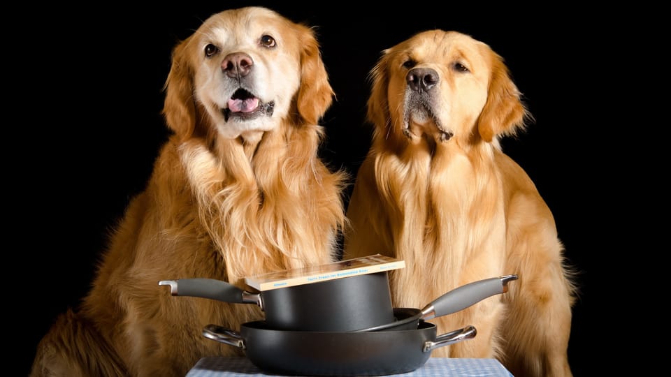 10 Irresistible Homemade Dog Food Recipes That Will Make Your Pup Wag with Joy!